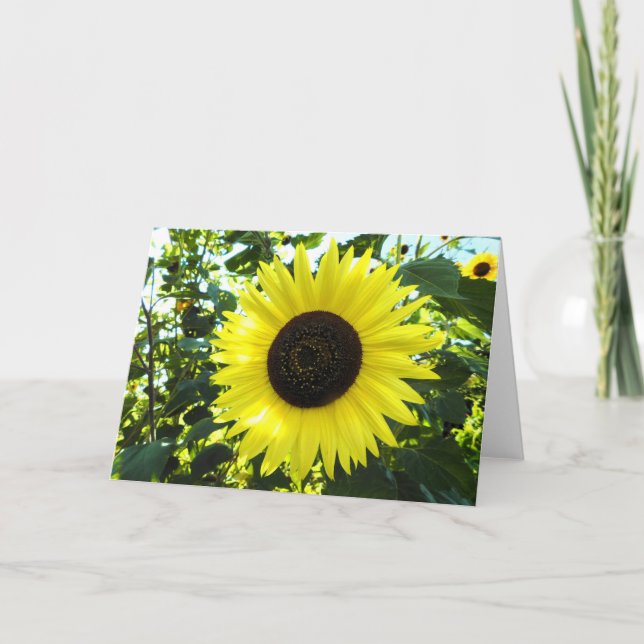 Sunflower Scene Greeting Card (Front)
