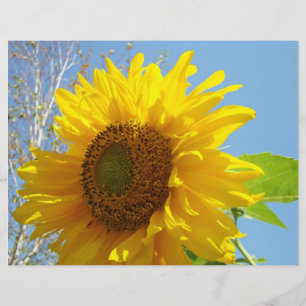 Sunflower Scrapbook paper Yellow Floral summer