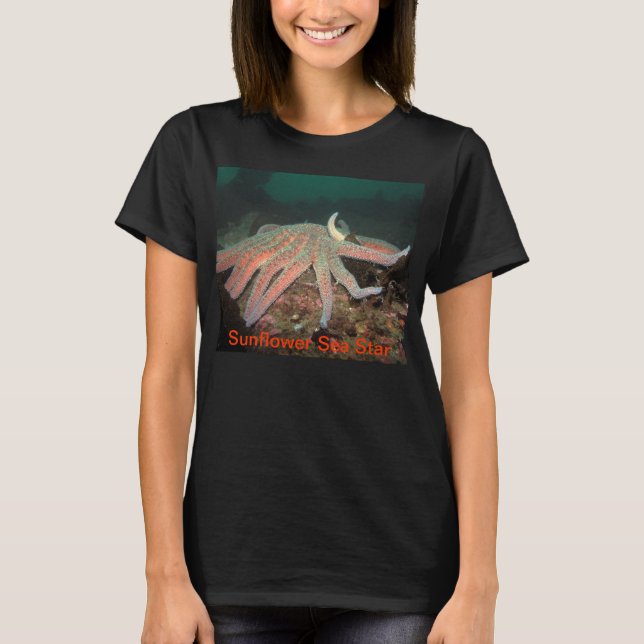 Sunflower Sea Star - Shirt (Front)