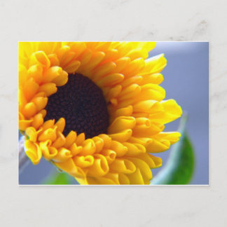 Sunflower Seasonal Inspirationals Postcard