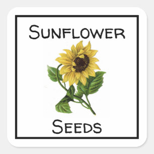 Sunflower Seeds Square Sticker