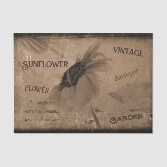 Sunflower Sepia Brown Vintage Antique Ephemera Tissue Paper (Front)