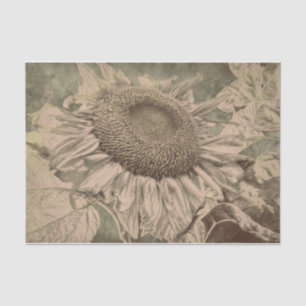Sunflower Sepia Tone Brown Art Texture Decoupage Tissue Paper