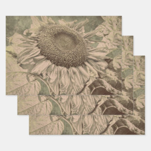 Sunflower Sepia Tone Brown Art Texture Decoupage Wrapping Paper Sheet