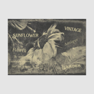 Sunflower Sepia Vintage Antique Ephemera Texture Tissue Paper