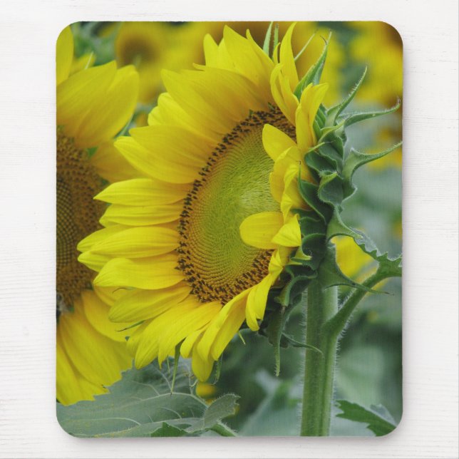 Sunflower Series Mouse Pad (Front)