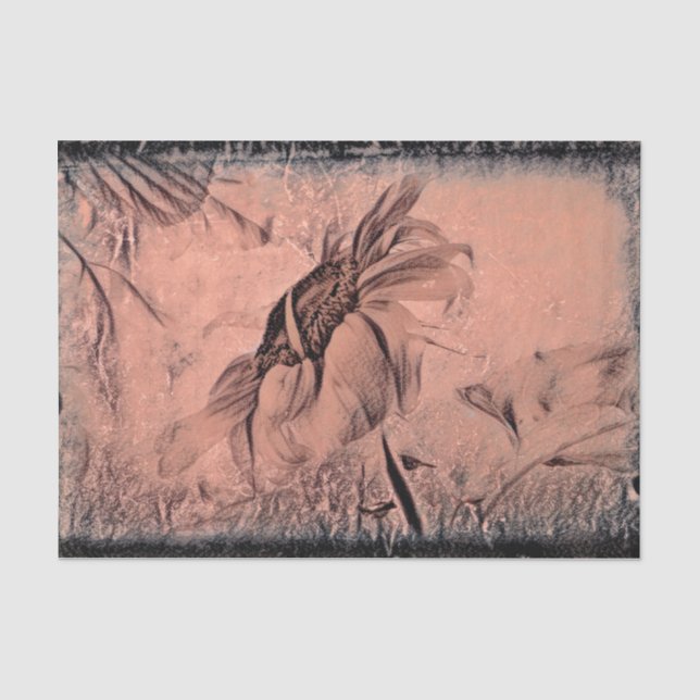 Sunflower Sketch Sepia Vintage Antique Decoupage Tissue Paper (Front)