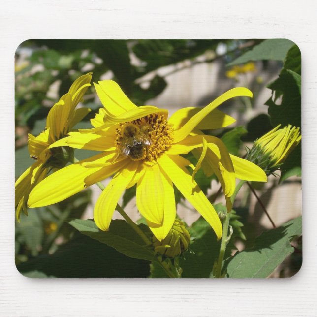 Sunflower snack mouse pad (Front)