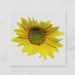 sunflower solo 2.5" x 2.5" Enclosure Card