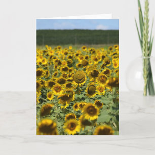 Sunflower souriante - Carte de voeux encourageante