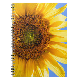 Sunflower Spiral Notebook