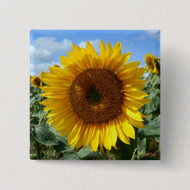 Sunflower Square Badge 2 Inch Square Button (Front)