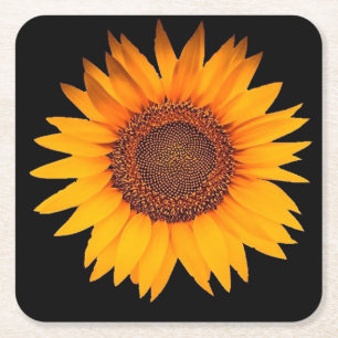 Sunflower Square Paper Coaster