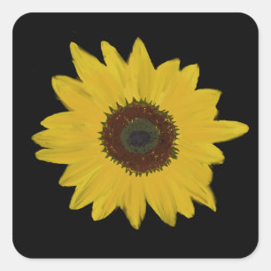 Sunflower Square Stickers