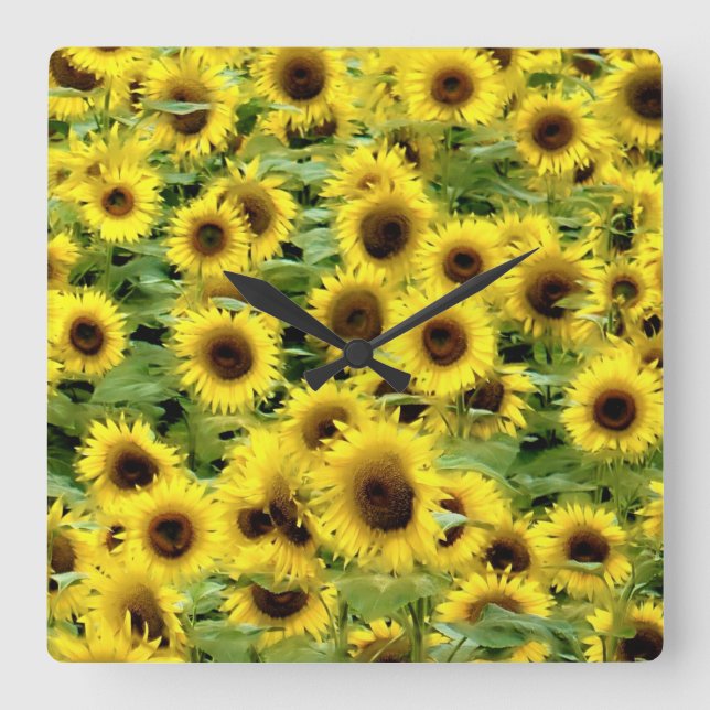 Sunflower Square Wall Clock (Front)