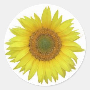 Sunflower Sticker