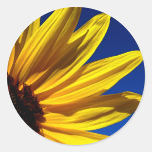 Sunflower Stickers