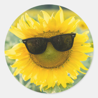 Sunflower Stickers | Cute Sunflowers