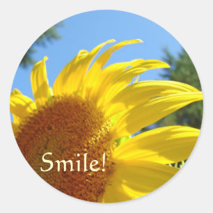 Sunflower stickers Sun Flowers Smile stickers