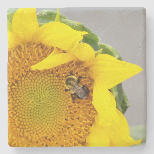 Sunflower Stone Coaster (Front)