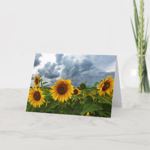 Sunflower Storm Blank Note Card