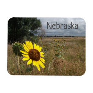 Sunflower, Stormy Sky, Western Nebraska Landscape Magnet