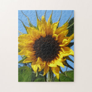 Sunflower Sturdy Chipboard Mounted Puzzles