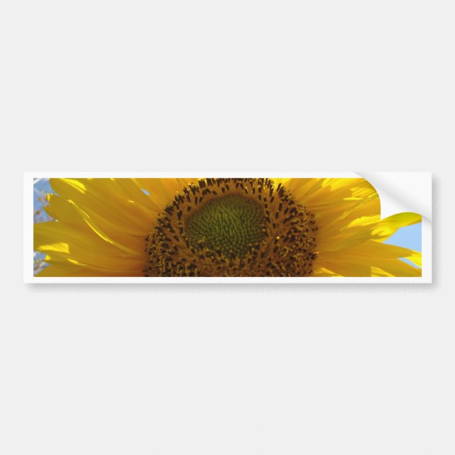 SUNFLOWER SunFlowers Sun Flowers Bumper Stickers (Front)