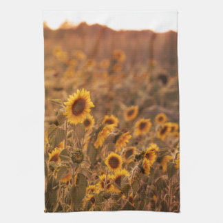 Sunflower Sunset in a Rural Field Colour Kitchen Towel