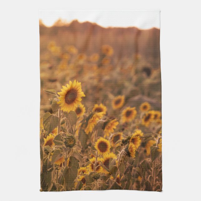Sunflower Sunset in a Rural Field Colour Kitchen Towel (Vertical)