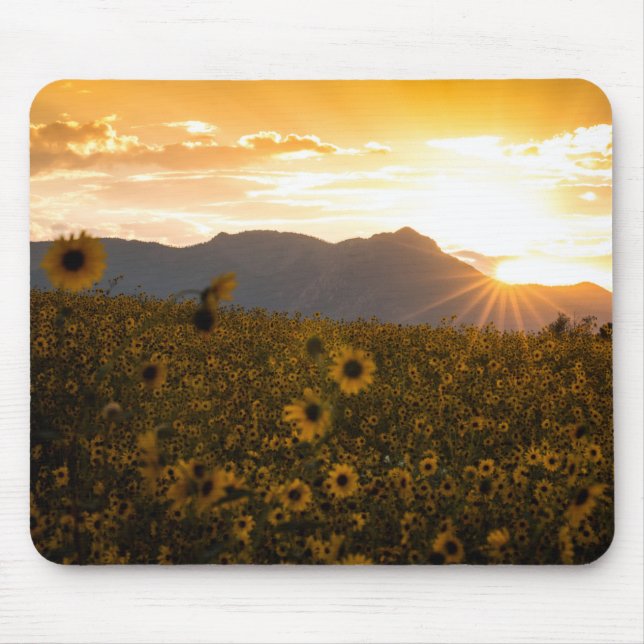 Sunflower Sunset Mouse Pad (Front)