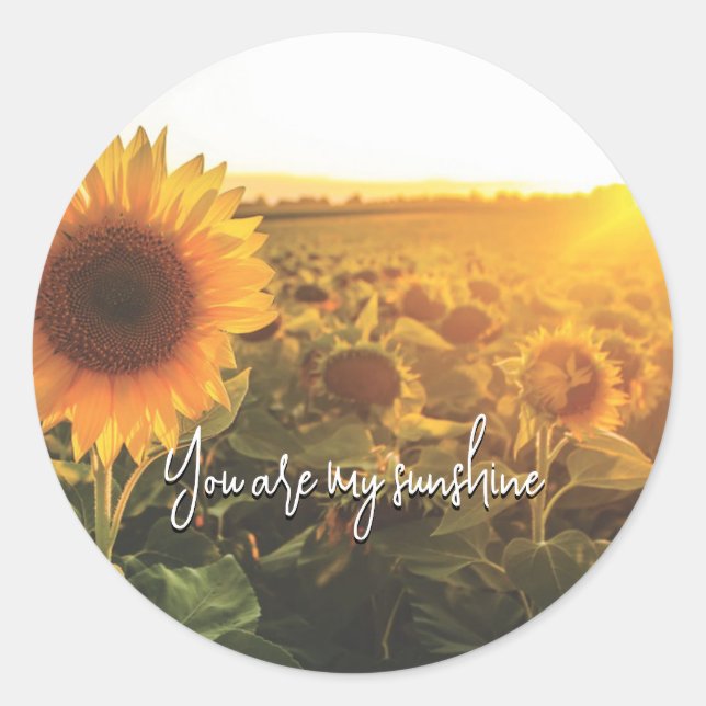 Sunflower Sunshine Classic Round Sticker (Front)