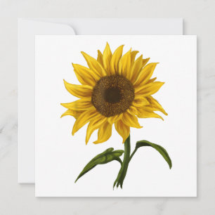 Sunflower Sunshine Floral Watercolor Flower Invitation