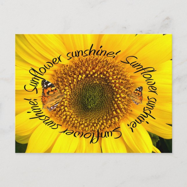 SUNFLOWER SUNSHINE ~ POstcard (Front)