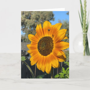 Sunflower thank you card
