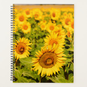 Sunflower Themed Gift for Travel Lover Planner