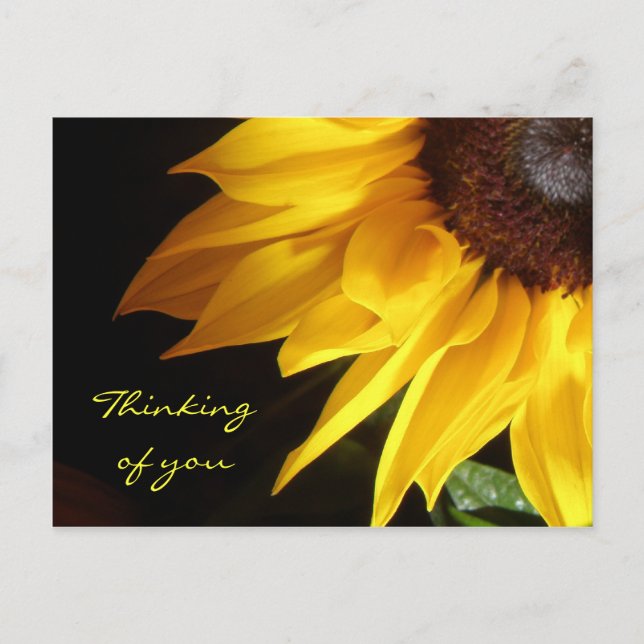 Sunflower: Thinking Of You Postcard (Front)