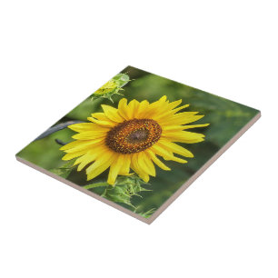 Sunflower  tile