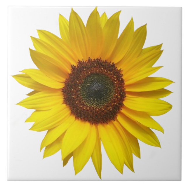 Sunflower Tile (Front)