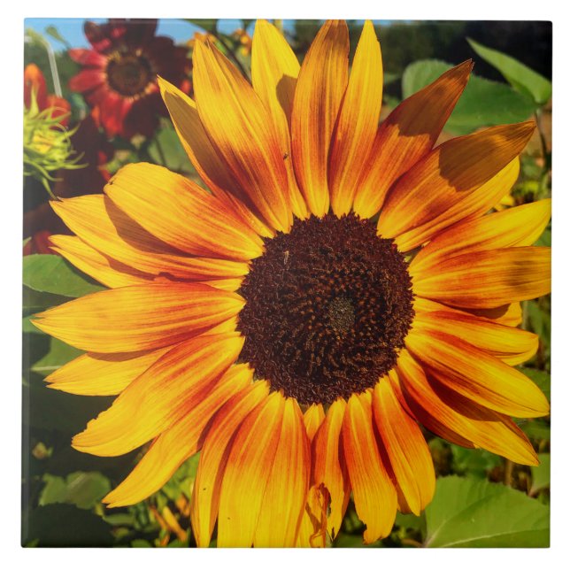 Sunflower Tile (Front)