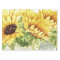 Sunflower Tissue for Gift Wrapping