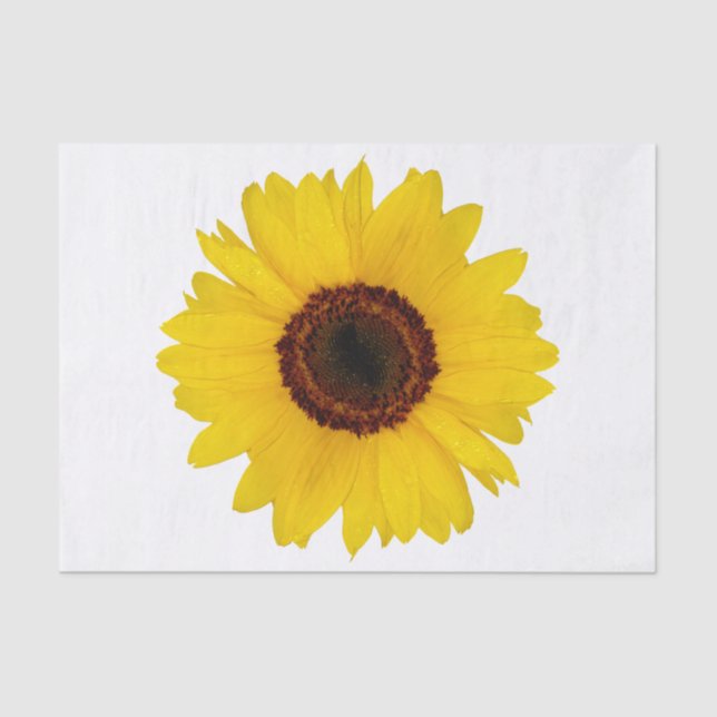 Sunflower Tissue Paper (Front)