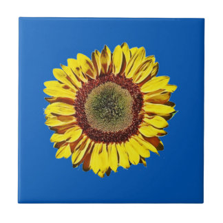 Sunflower Ukraine National Symbol Blue Background Tile