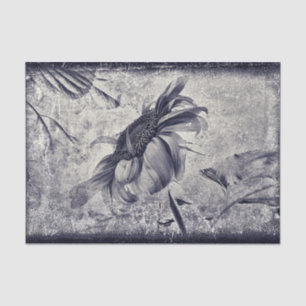 Sunflower Vintage Black And White Antique Texture Tissue Paper
