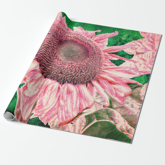 Sunflower Vintage Bright Pink Green Decoupage Wrapping Paper (Unrolled)