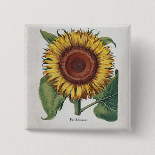 Sunflower Vintage Damask Flower Art 2 Inch Square Button