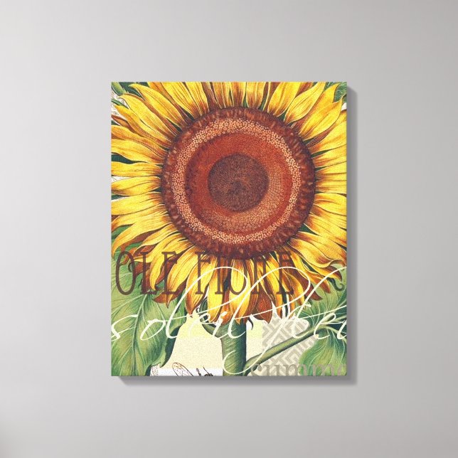 Sunflower Vintage Damask Flower Art Canvas Print (Front)