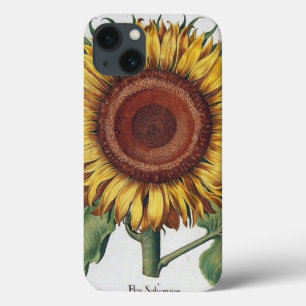 Sunflower Vintage Damask Flower Art iPhone 13 Case