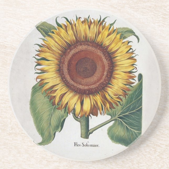 Sunflower Vintage Damask Flower Art Coaster (Front)