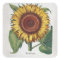 Sunflower Vintage Damask Flower Art